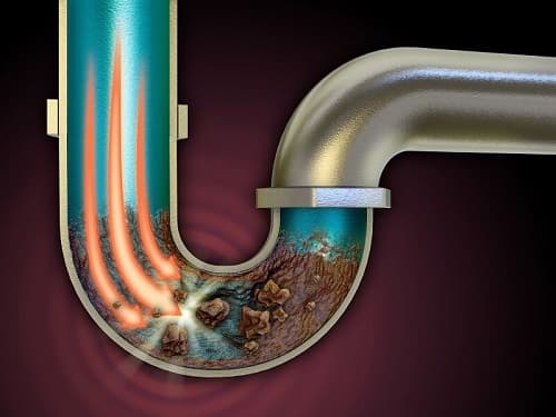 Common causes of blocked drains in Sydney including tree roots and grease buildup