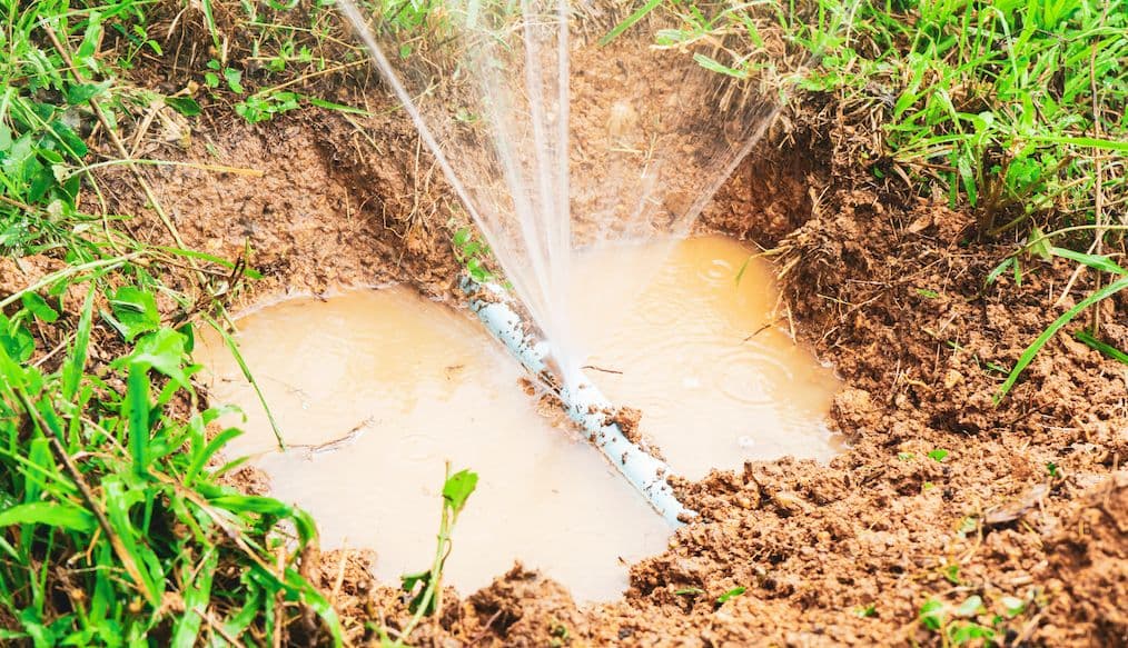 Leaking underground pipe in Sydney causing water damage, wet patches, and high water bills fixed with no-dig pipe relining