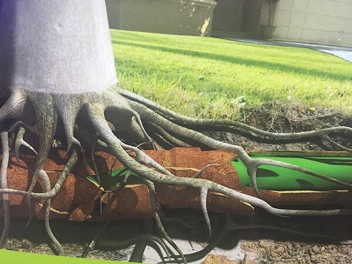 Illustration of trenchless pipe relining beneath landscaped ground with reduced excavation